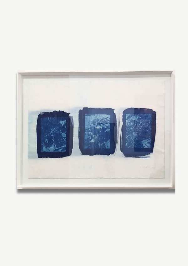 Homing II